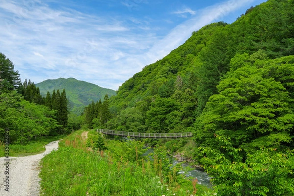 Obraz 山と釣り橋