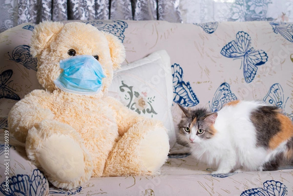 Fototapeta Sad Teddy bear in a protective mask sits on a soft sofa at home in quarantine with a tricolor cat, Pets and friends: concept, isolation, stay at home