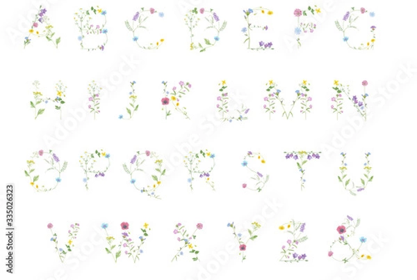 Fototapeta Watercolor hand drawn wild meadow flower letter alphabet (bluebell, clover, chamomile, chicory, yarrow,  tansy etc.) isolated on white background. Design element for summer design, wedding invitation.