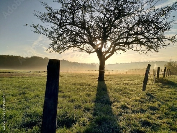 Obraz Spessart im Herbst