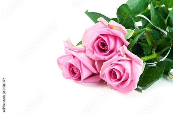 Fototapeta pink fresh roses