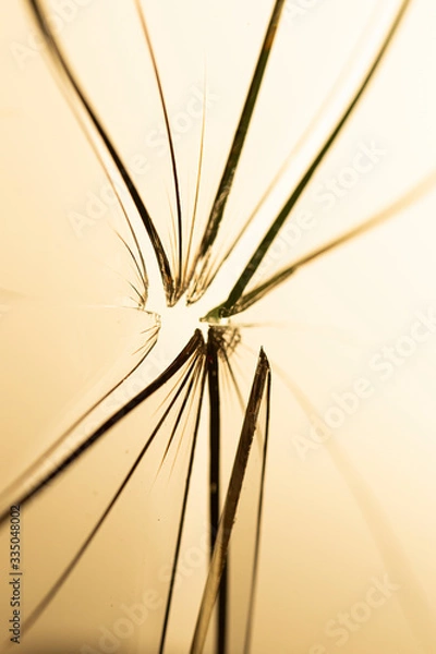 Obraz broken glass the windows