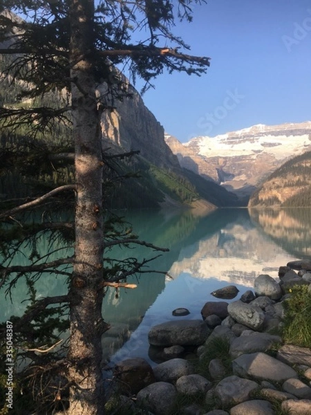 Obraz Between the trees at Lake Louise 