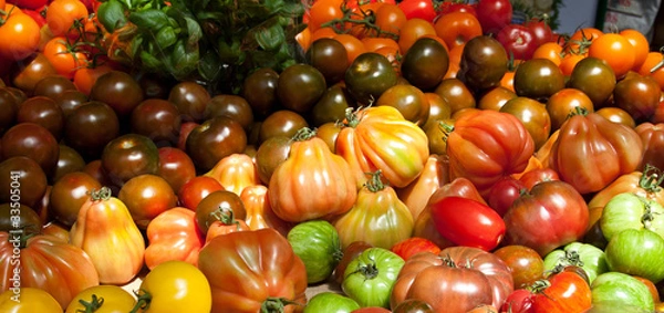 Obraz Tomato International