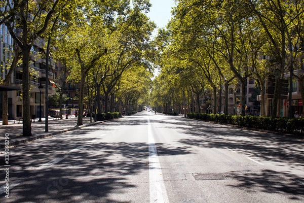 Fototapeta View of one of the main avenues called "Gran Via de les Corts Catalanes" in Barcelona. Trees and their shadows creates dramatic scene. It is a sunny summer day.