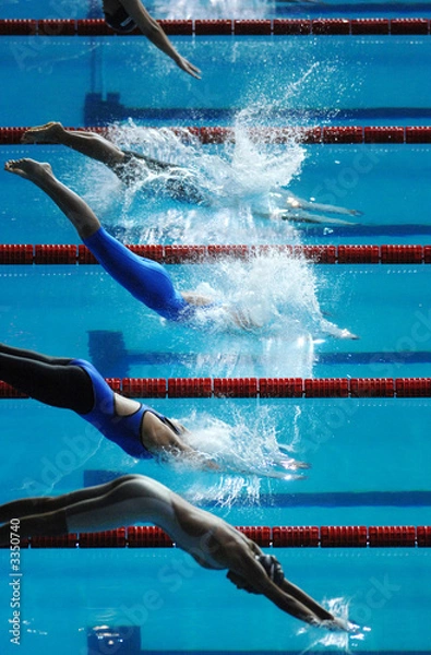 Fototapeta Swim Dive Start 01