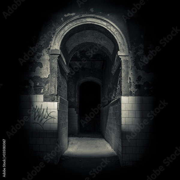 Fototapeta Entrada oscura y en la penumbra a habitación de edificio abandonado.