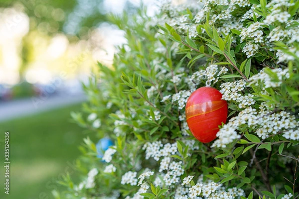 Fototapeta Red plastic easter egg decoration spirea shrub easter