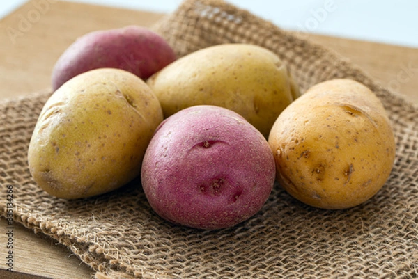 Fototapeta Close up of bite size yellow and red potatoes on gunny sack