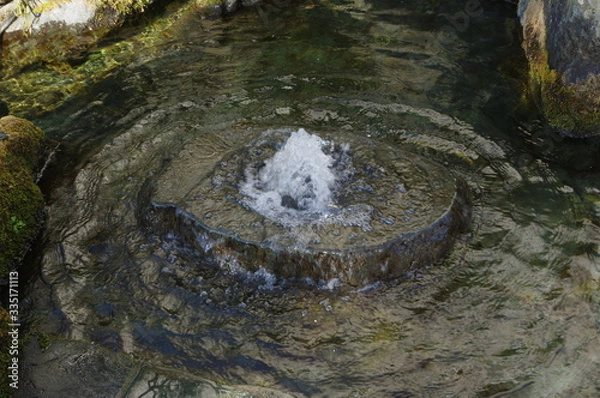 Fototapeta 湧水 -名水百選 愛媛県西条市のうちぬき-