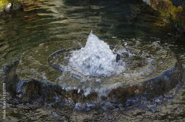 Fototapeta 湧水 -名水百選 愛媛県西条市のうちぬき-