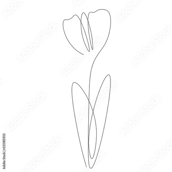 Fototapeta Flower line drawing. Vector illustration.