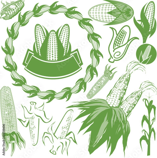 Obraz Kolekcja kukurydzy