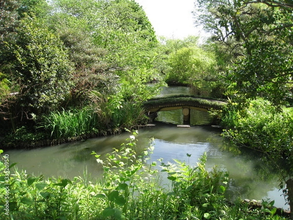Fototapeta 庭の奥に橋