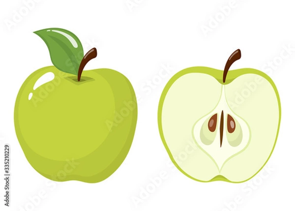 Obraz Fresh whole and half green apple isolated on white background. Organic fruit. Cartoon style. Vector illustration for any design.