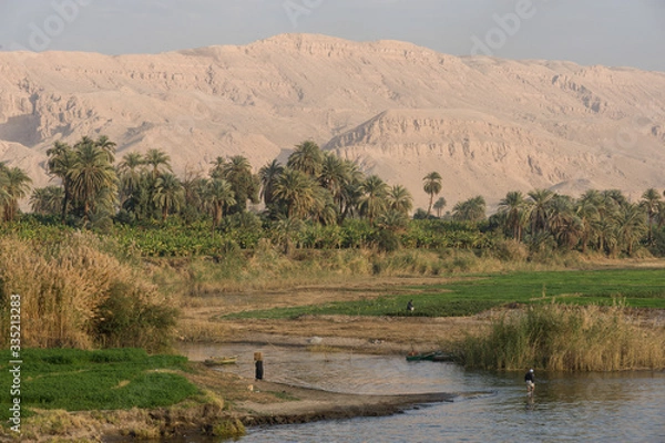 Obraz エジプト　ナイル川の風景