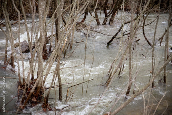 Obraz Creek Flooding