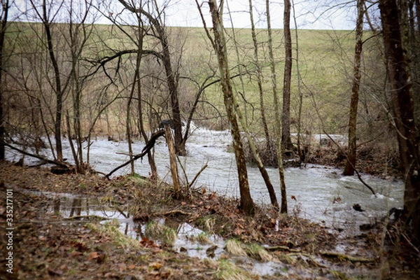 Obraz Creek Flooding