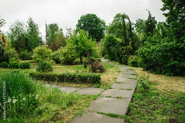 Obraz botanical garden in the summer is very beautiful in the open space
