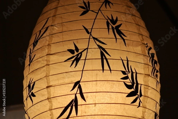 Obraz The Hanging leaves