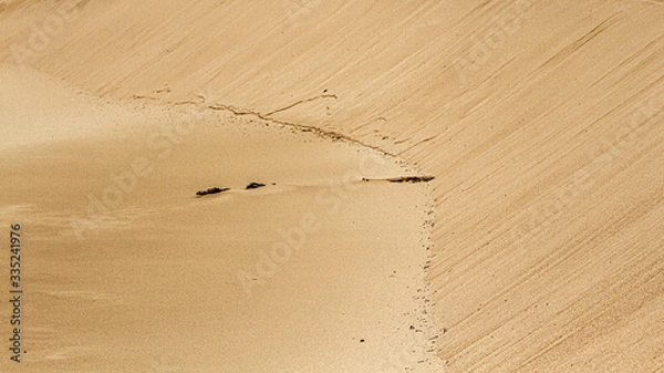 Fototapeta beach textures