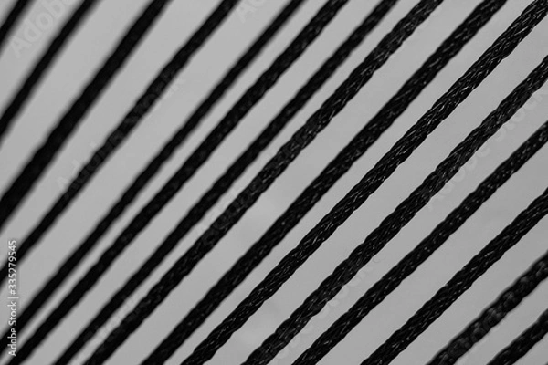 Obraz Rope Lines 