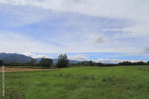 Fototapeta 北海道の風景