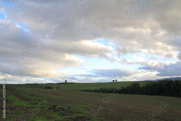 Obraz 北海道の風景