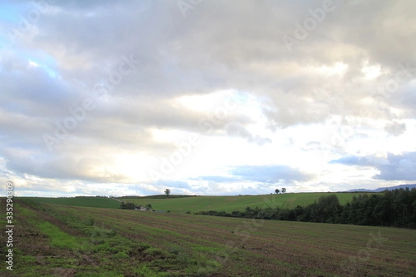 Obraz 北海道の風景