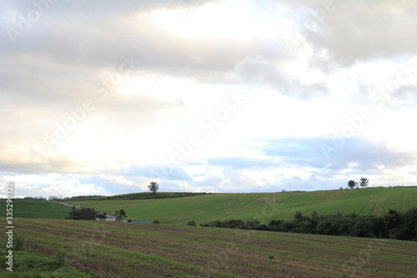 Obraz 北海道の風景