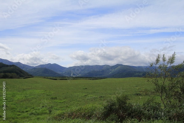 Obraz 北海道の風景