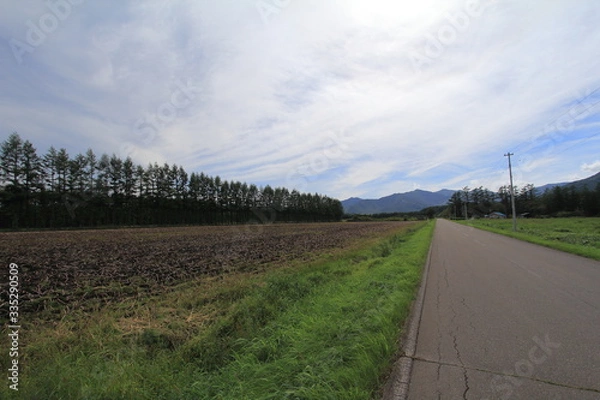 Fototapeta 北海道の風景