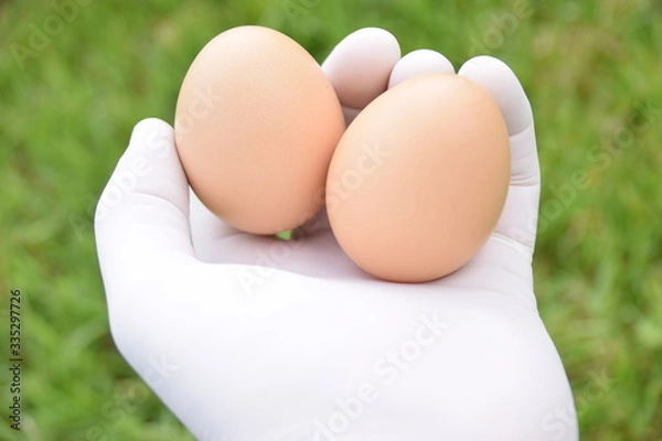 Fototapeta œuf de pâques 