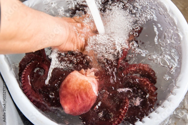 Fototapeta 茹でたタコ（茹でだこ）