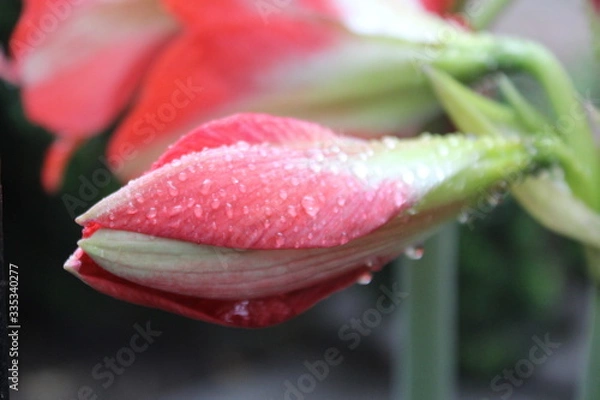 Obraz boton horizontal con agua