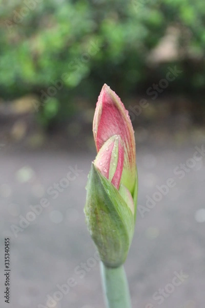 Obraz boton vertical con agua