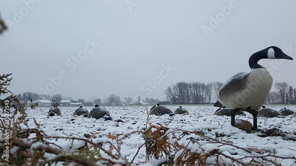 Fototapeta the Spread