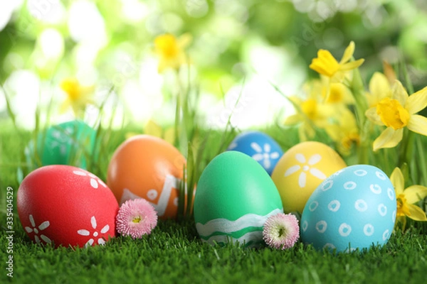 Fototapeta Colorful Easter eggs and flowers in green grass. Space for text