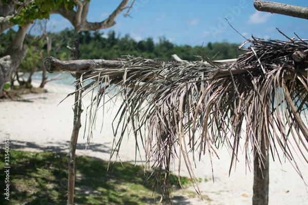 Obraz Tropical beach