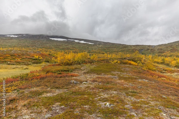 Fototapeta View to Sarek National Park in autumn, Sweden, selective focus