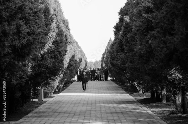 Obraz Halted Group People