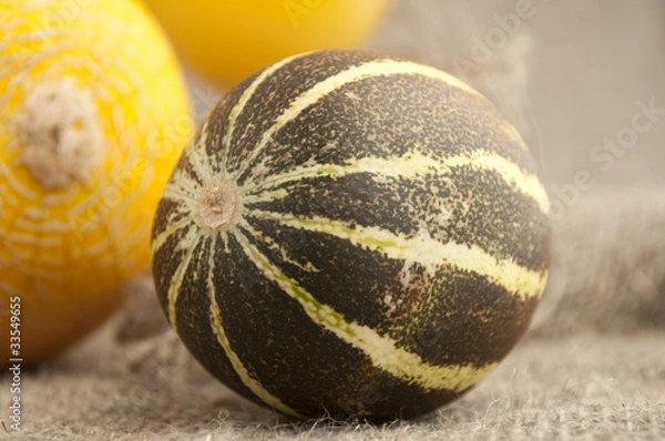 Obraz melon