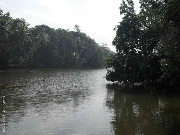 Obraz goa river