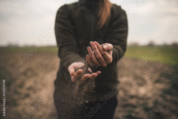 Fototapeta Female hands pouring a black soil in the field. Female agronomist testing a quality of soil. Concept of agriculture.