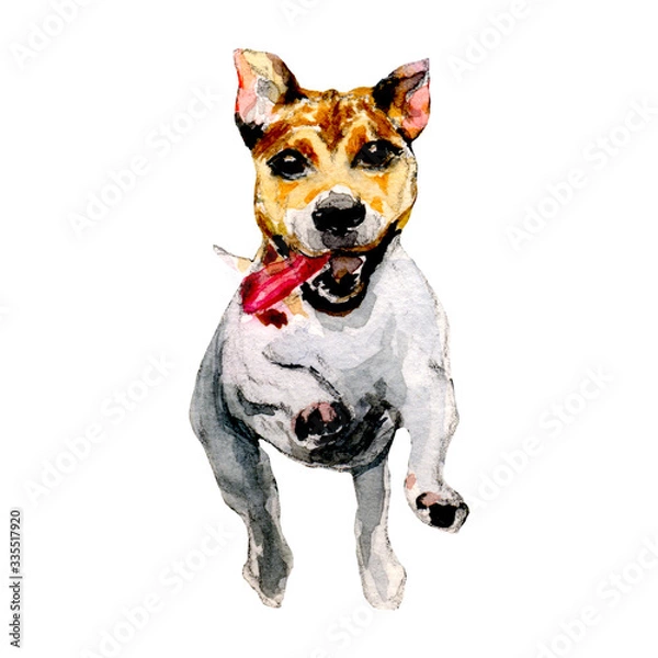 Fototapeta watercolor jack russell