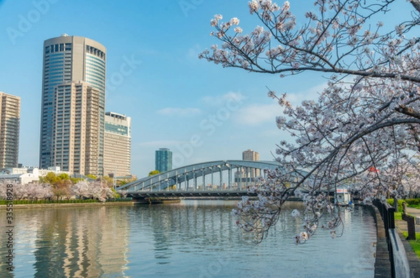 Fototapeta 銀橋のある風景