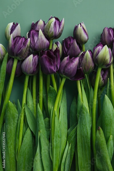 Fototapeta Spring flowers in bouquet composition