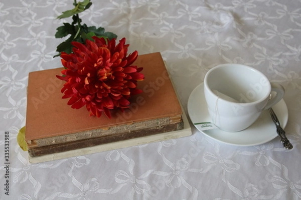 Obraz es sich zu Hause gemütlich machen