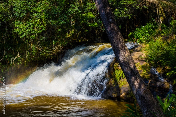 Obraz Waterfall in the forest