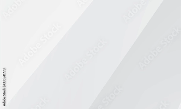 Fototapeta White Background Abstract Geometric Vector Illustration. You can use this white background template for website user interface.